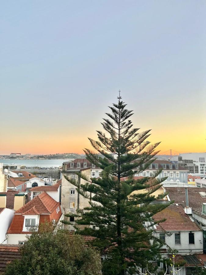 Frank's House & Happy Downtown Lejlighed Lisboa